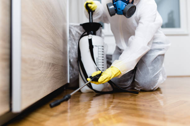 Reliable Huntington Bay, NY Pest Control Solutions