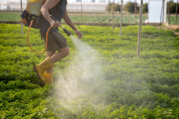Best Affordable Pest Control Services  in Huntington Bay, NY