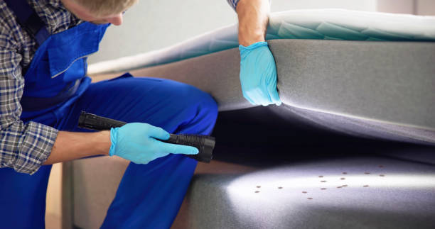 Best Pest Removal Services  in Huntington Bay, NY