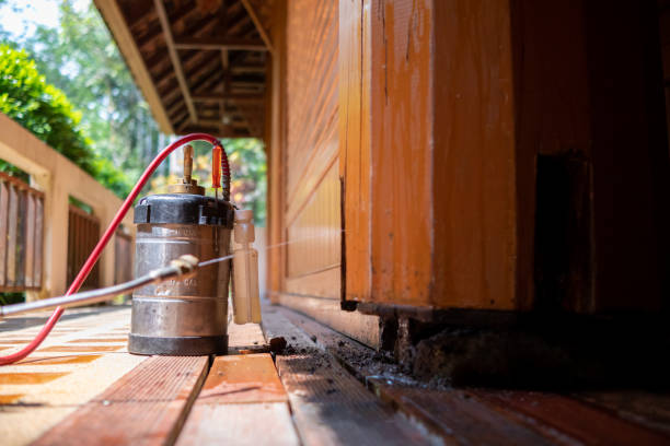 Best Cockroach Control Services  in Huntington Bay, NY